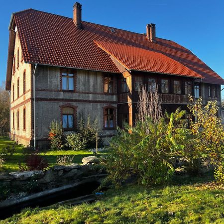 Willa Pod Zegarem Stara Kamienica Kültér fotó